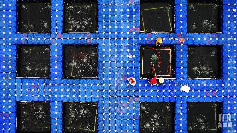 时政新闻眼丨习近平赴湛江考察,承载哪些战略考量? 时政新闻眼丨习近平赴湛江考察,承载哪些战略考量?