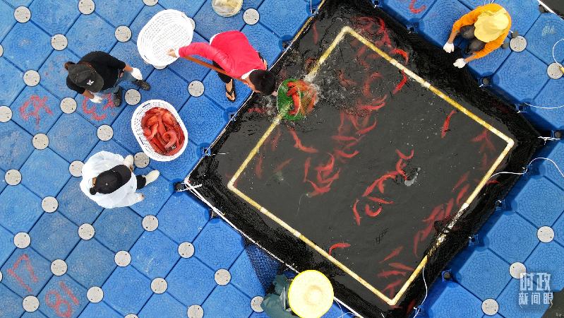 时政新闻眼丨习近平赴湛江考察,承载哪些战略考量? 时政新闻眼丨习近平赴湛江考察,承载哪些战略考量?