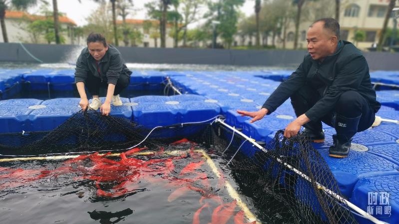 时政新闻眼丨习近平赴湛江考察,承载哪些战略考量? 时政新闻眼丨习近平赴湛江考察,承载哪些战略考量?