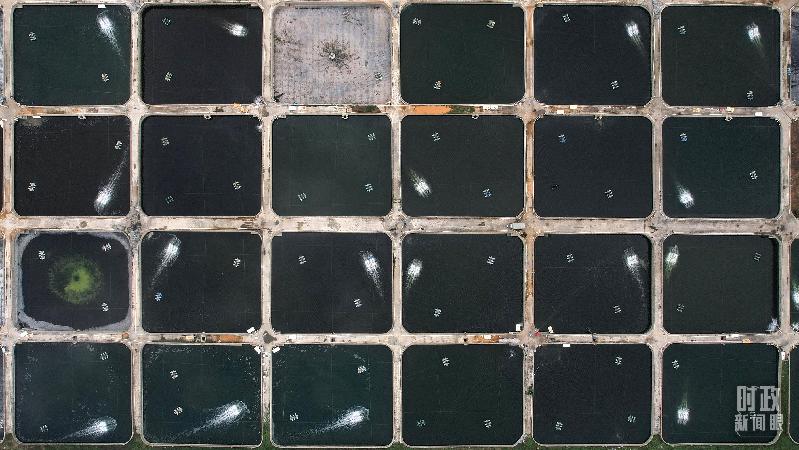 时政新闻眼丨习近平赴湛江考察,承载哪些战略考量? 时政新闻眼丨习近平赴湛江考察,承载哪些战略考量?