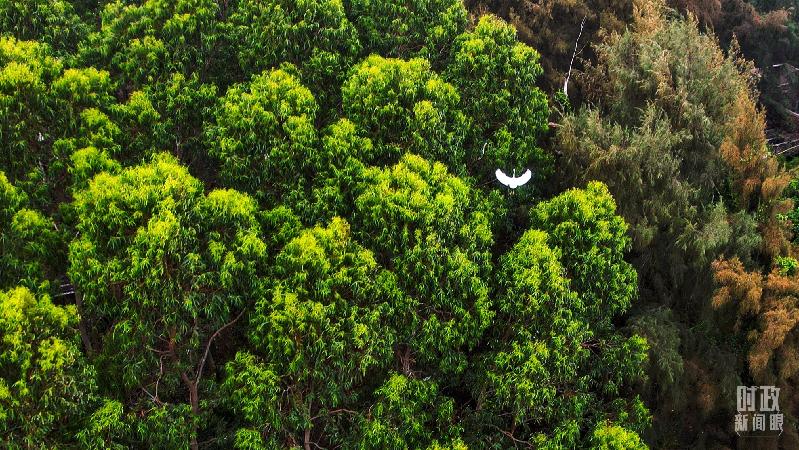 时政新闻眼丨习近平赴湛江考察,承载哪些战略考量? 时政新闻眼丨习近平赴湛江考察,承载哪些战略考量?