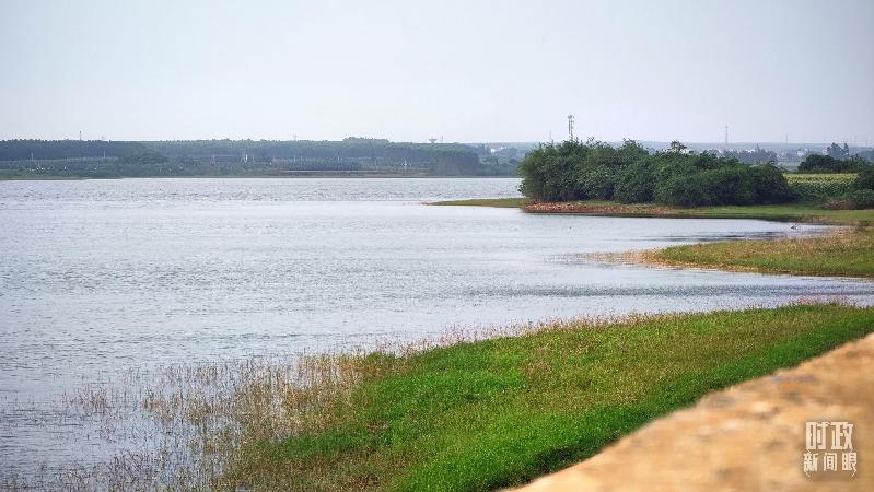 时政新闻眼丨习近平赴湛江考察,承载哪些战略考量? 时政新闻眼丨习近平赴湛江考察,承载哪些战略考量?